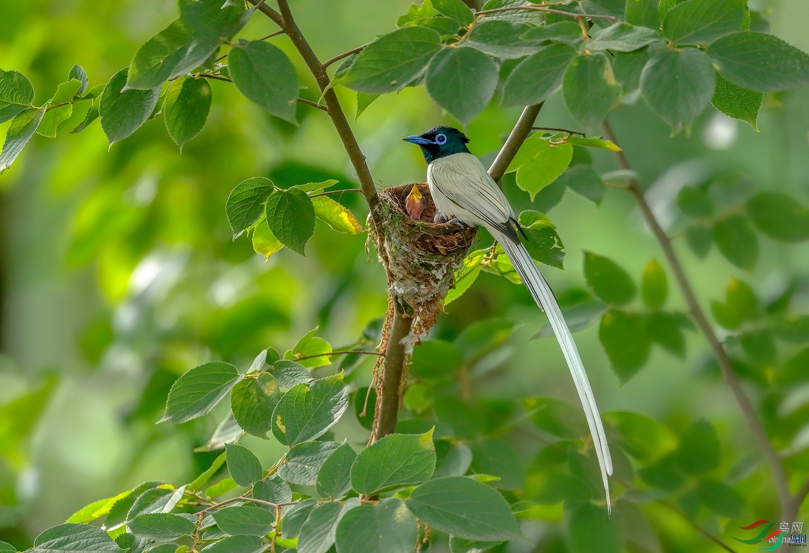 77089  ��ʦ����������ʡ����������.jpg