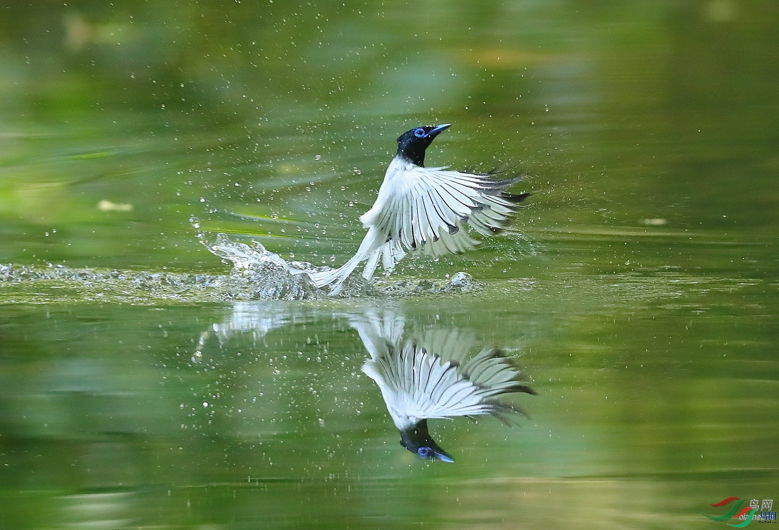 ����  ��ʦ�����ڰ���ʡ�����м�Ϫ��.jpg