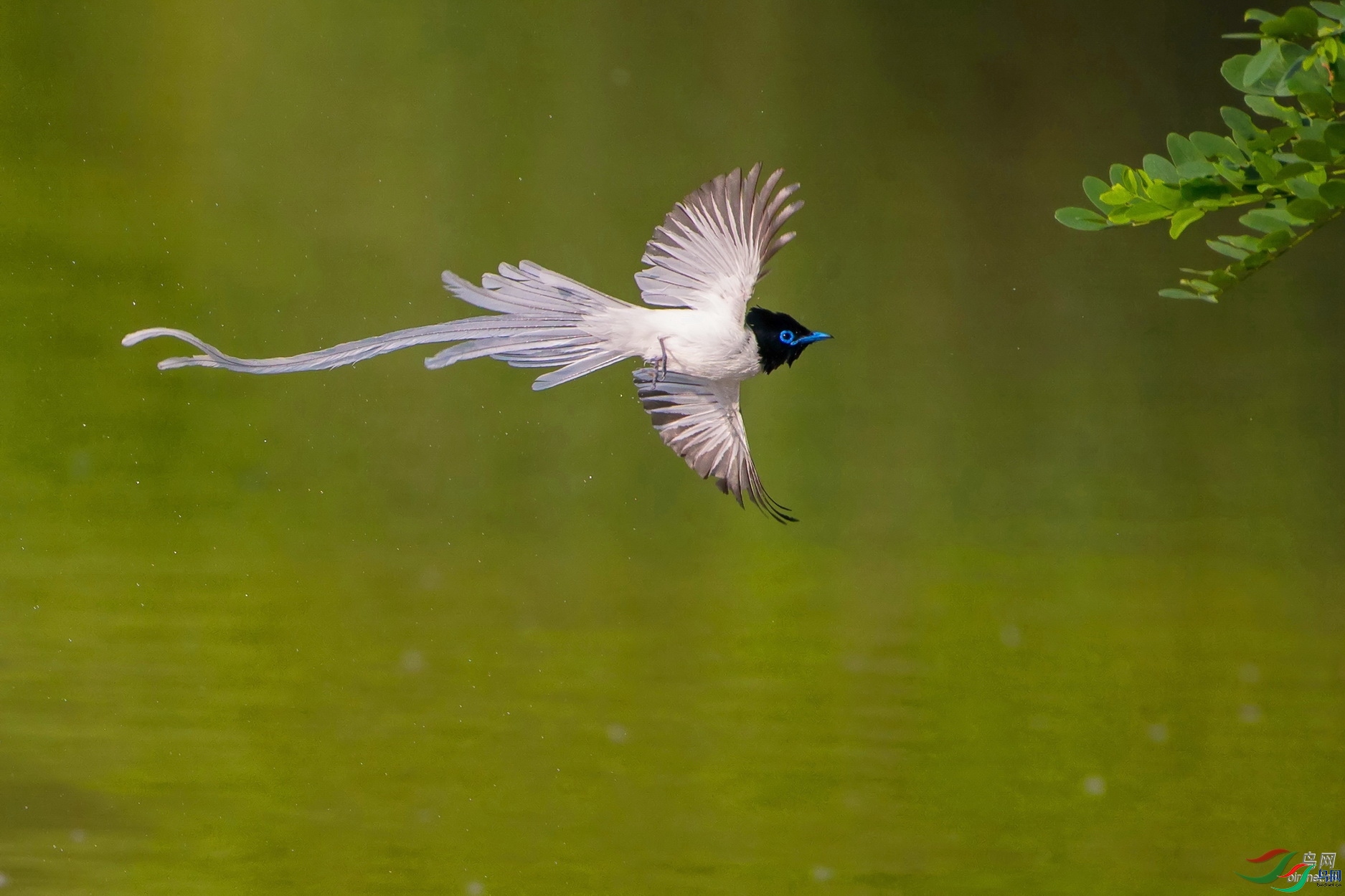 ��ʯ ��ʦ�����ں���ʡ��������ɽ��.jpg