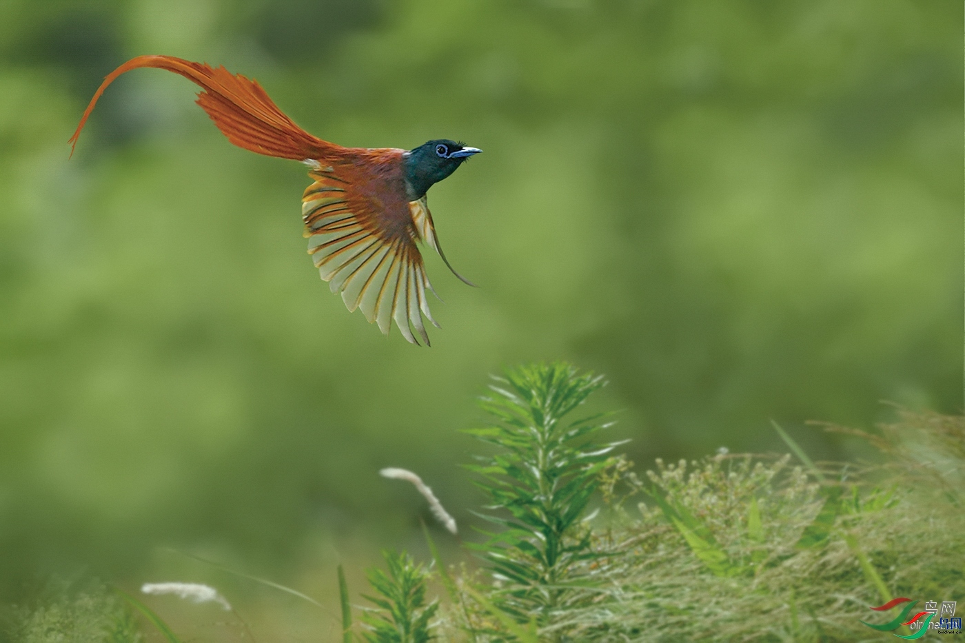 �������� ��ʦ�����ں���ʡ�����о�ɽ��.jpg