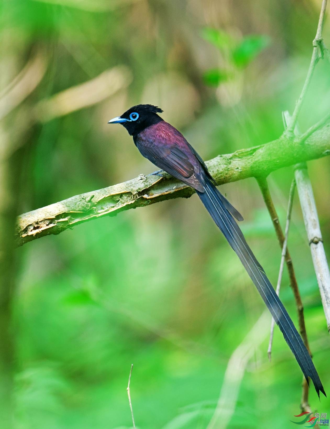 �������.jpg