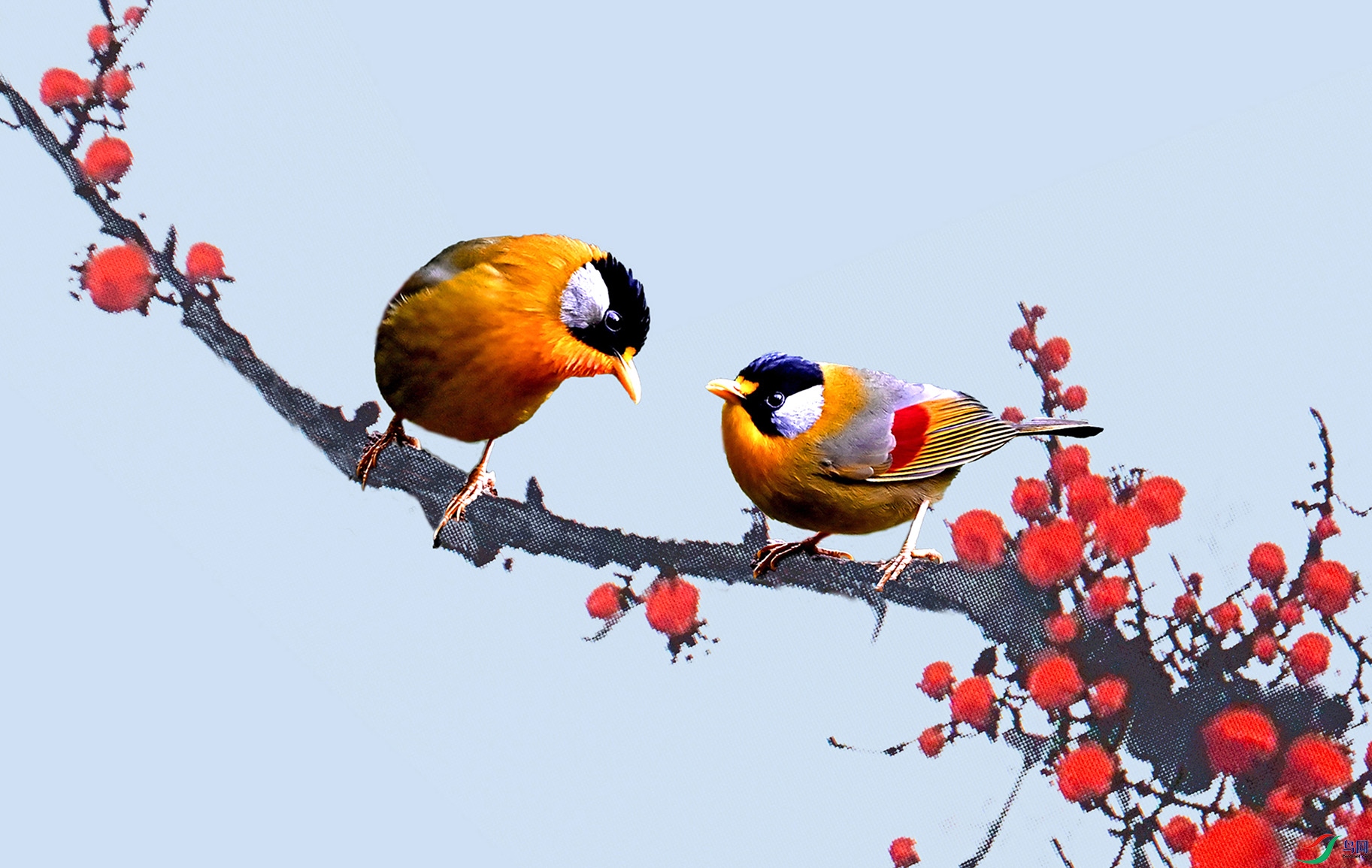 5.���Ļ�-������˼��1599DM.jpg