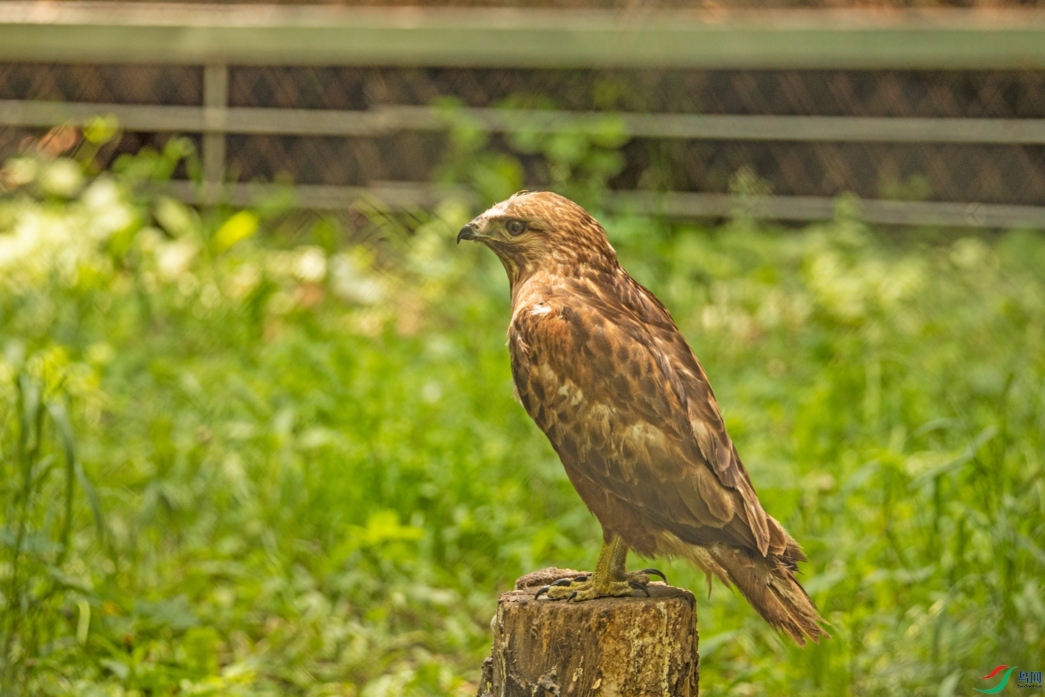 ���ľȻ� ��ͨ