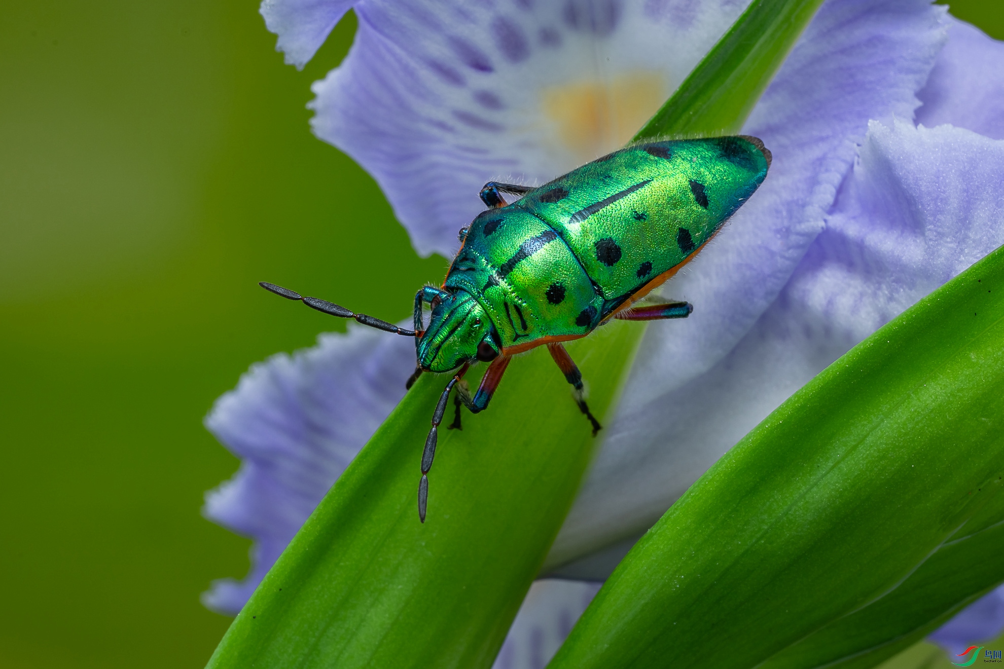δ����-03916.jpg