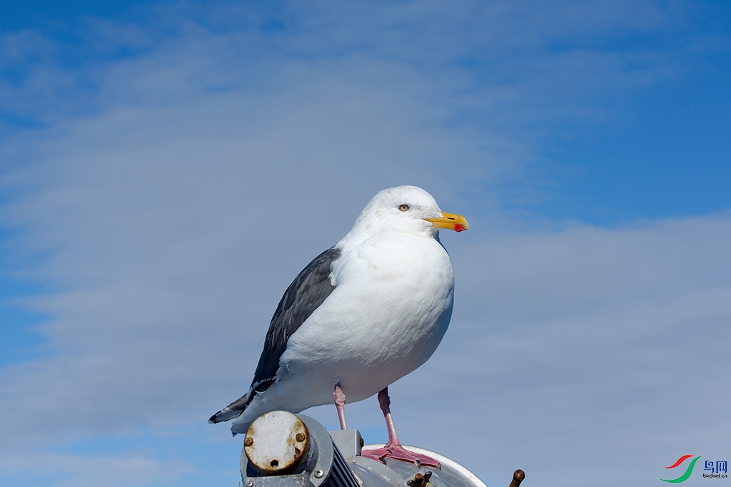 DSC_8268_DxOa.jpg