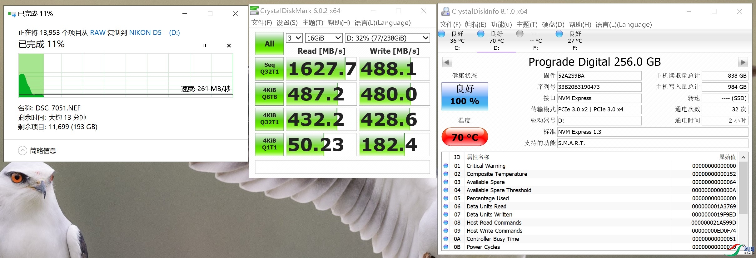 Prograde 256G 2021-03-05 141052.jpg