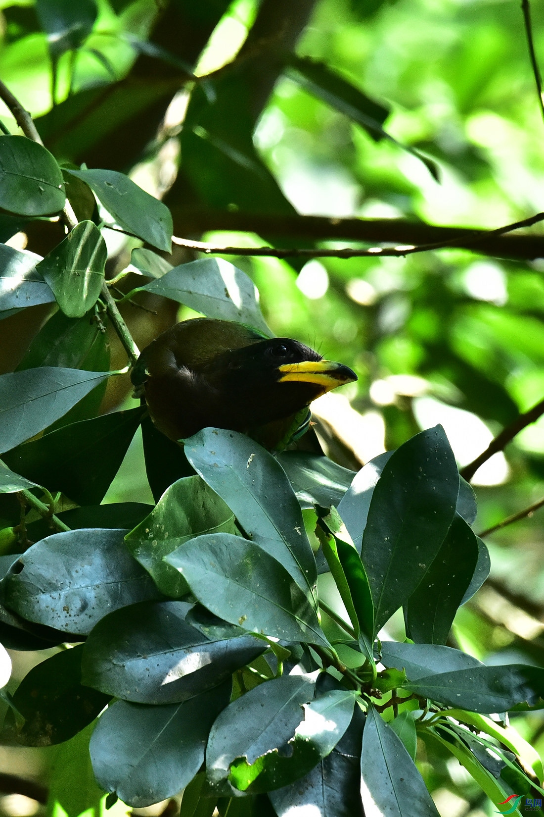 DSC_1019.JPG