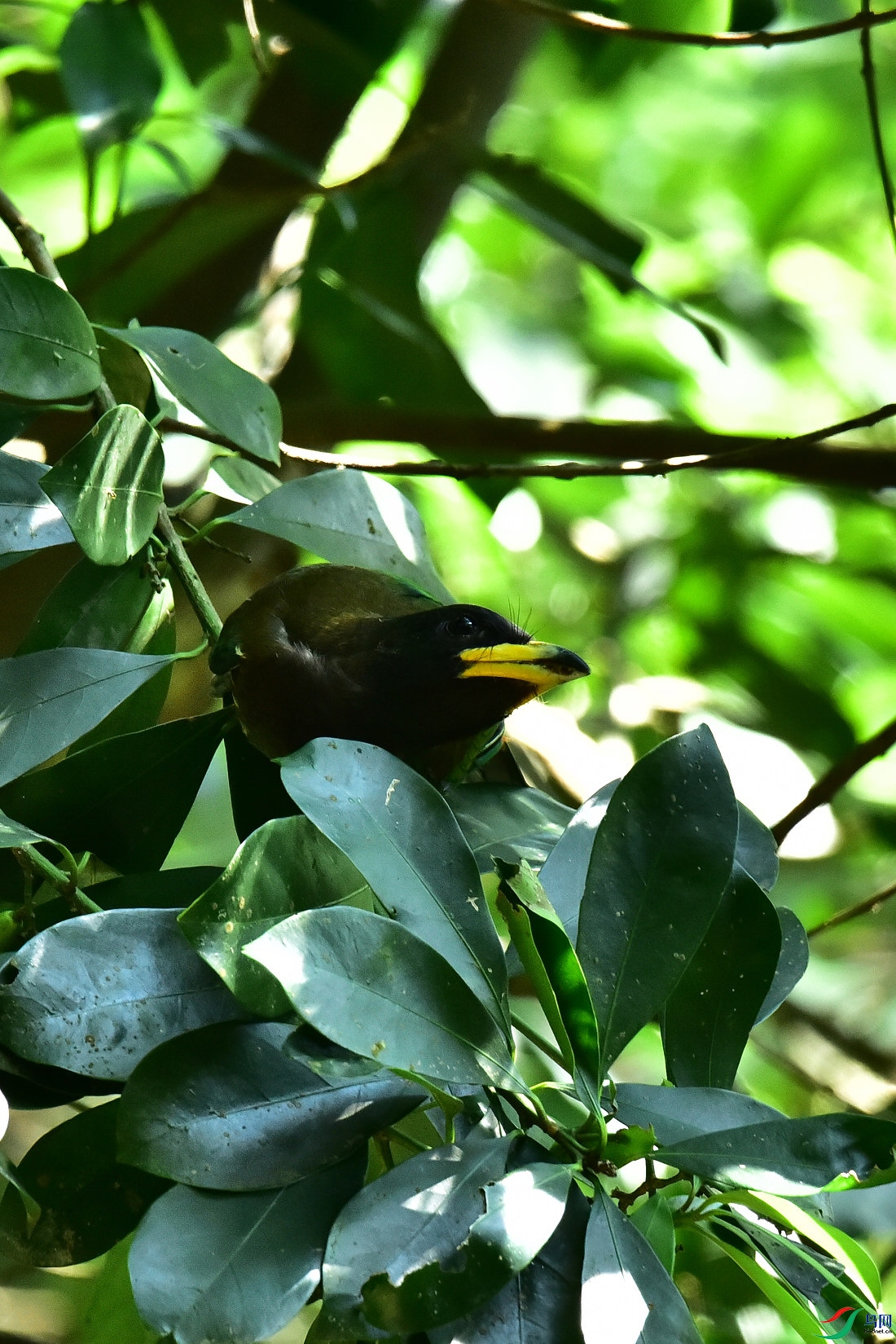 DSC_1020.JPG