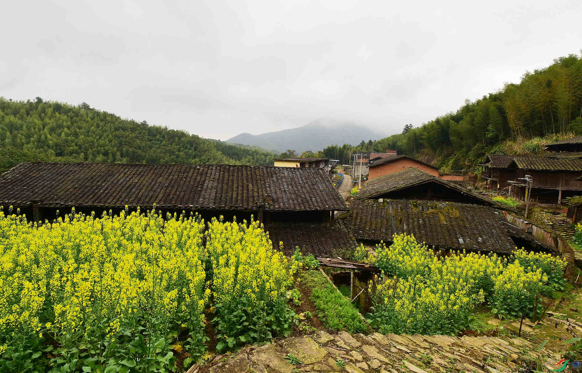 D8I_3774.jpg