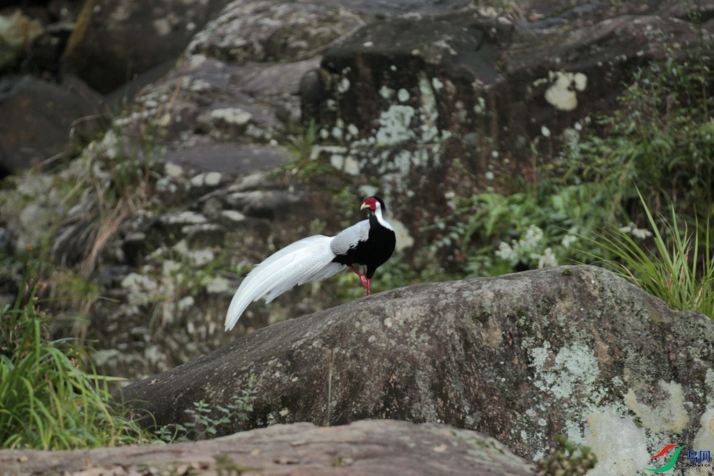 _Q0G7357_����.jpg