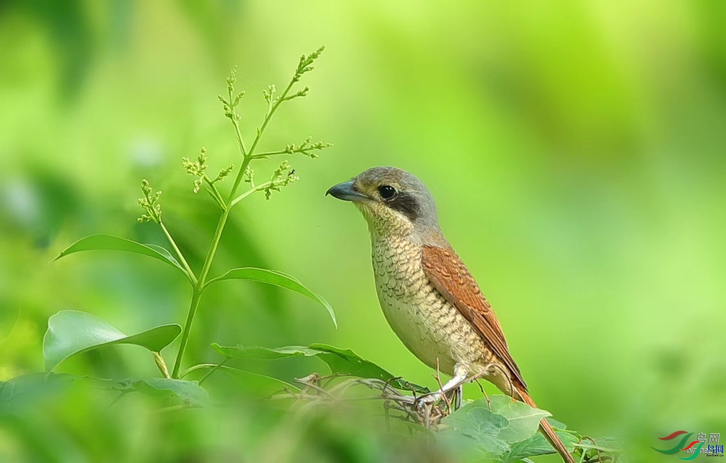 Ц������0919  ��ʦ�����ڹ���ʡ������.jpg