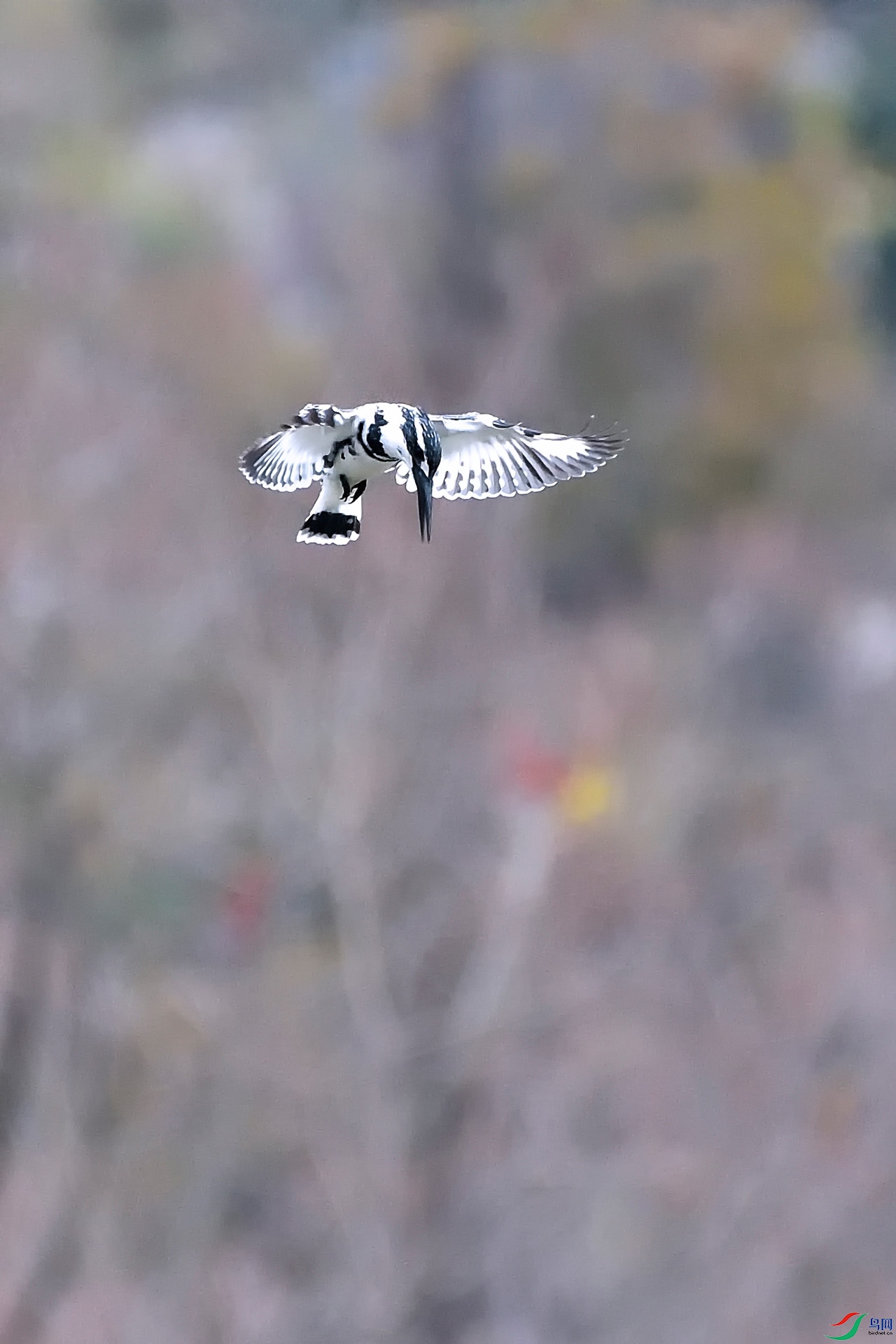 _DSC2658_00002a.jpg