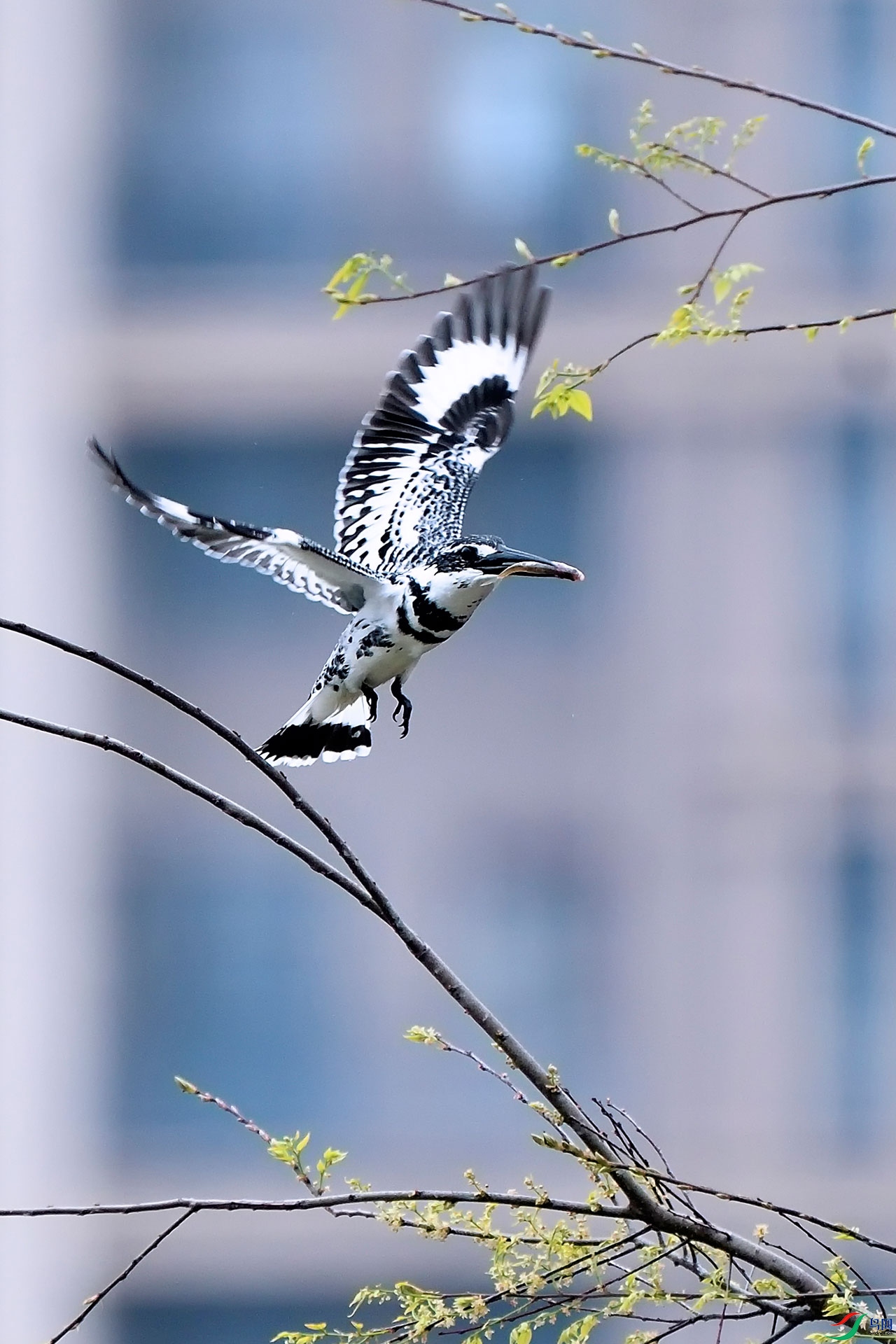 _DSC2850_00002a.jpg