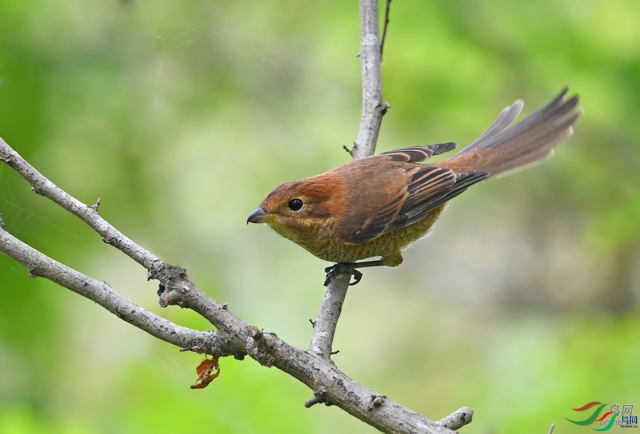 ������ͷ  ��ʦ�����ڽ���ʡ�γ���.jpg