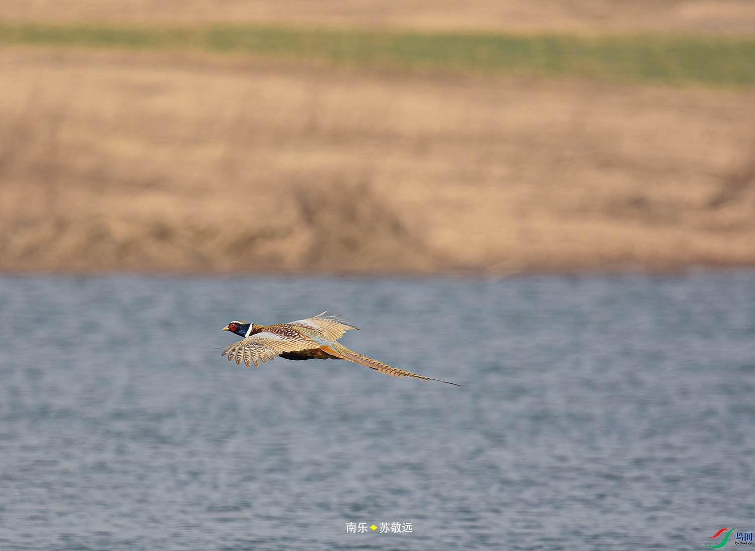 _DSC5748СС.jpg