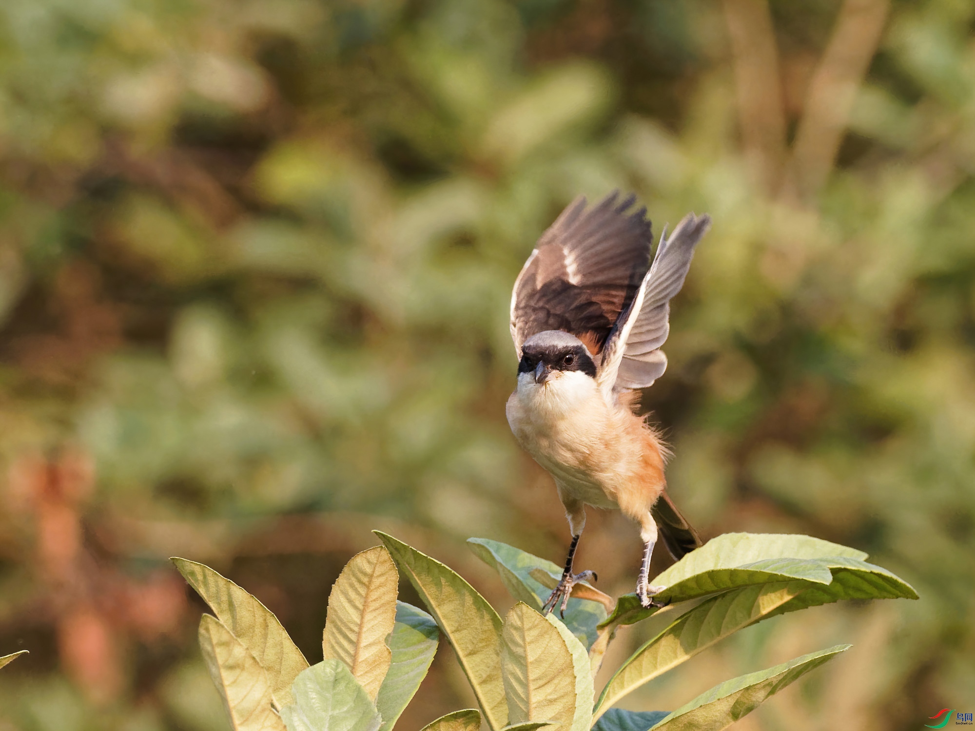 PB130011_DxO-d2.jpg