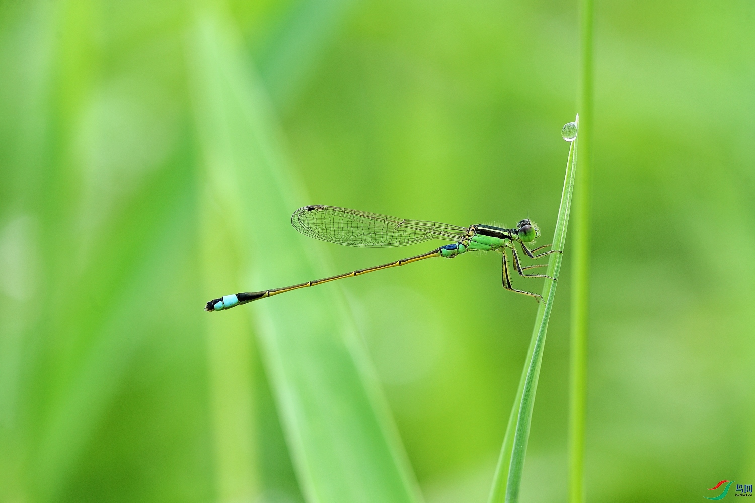 DSC_1565_00001.jpg