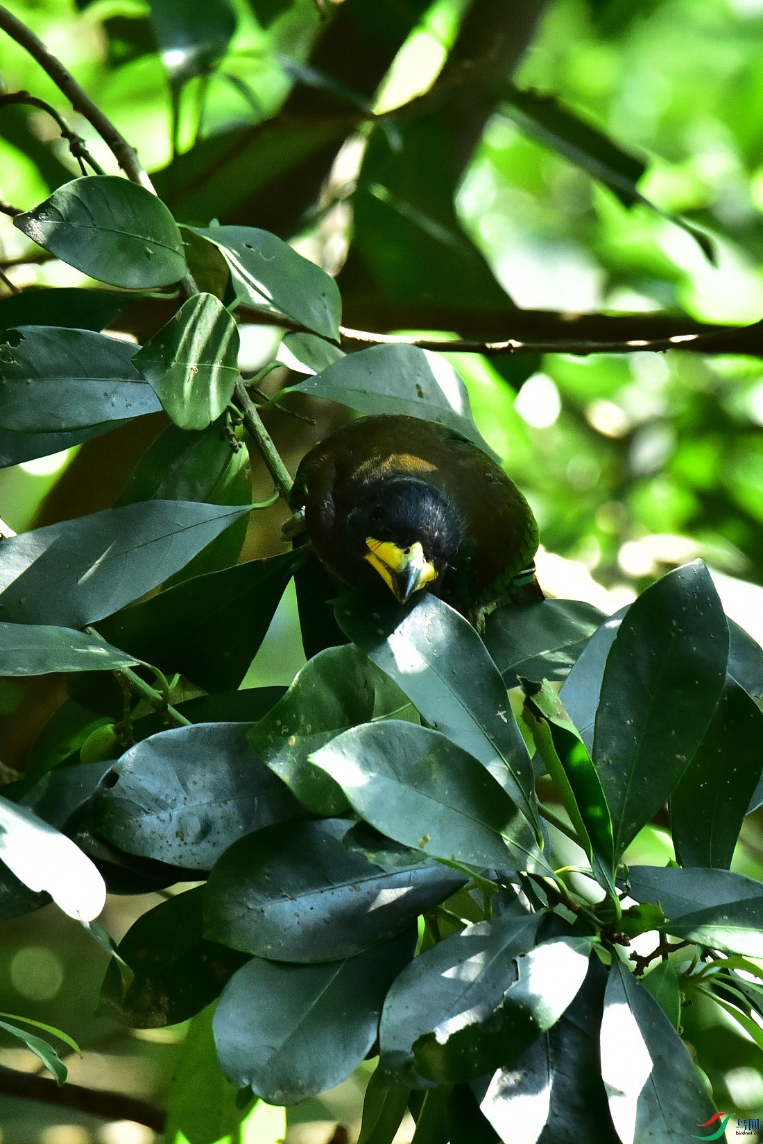 DSC_1023.JPG