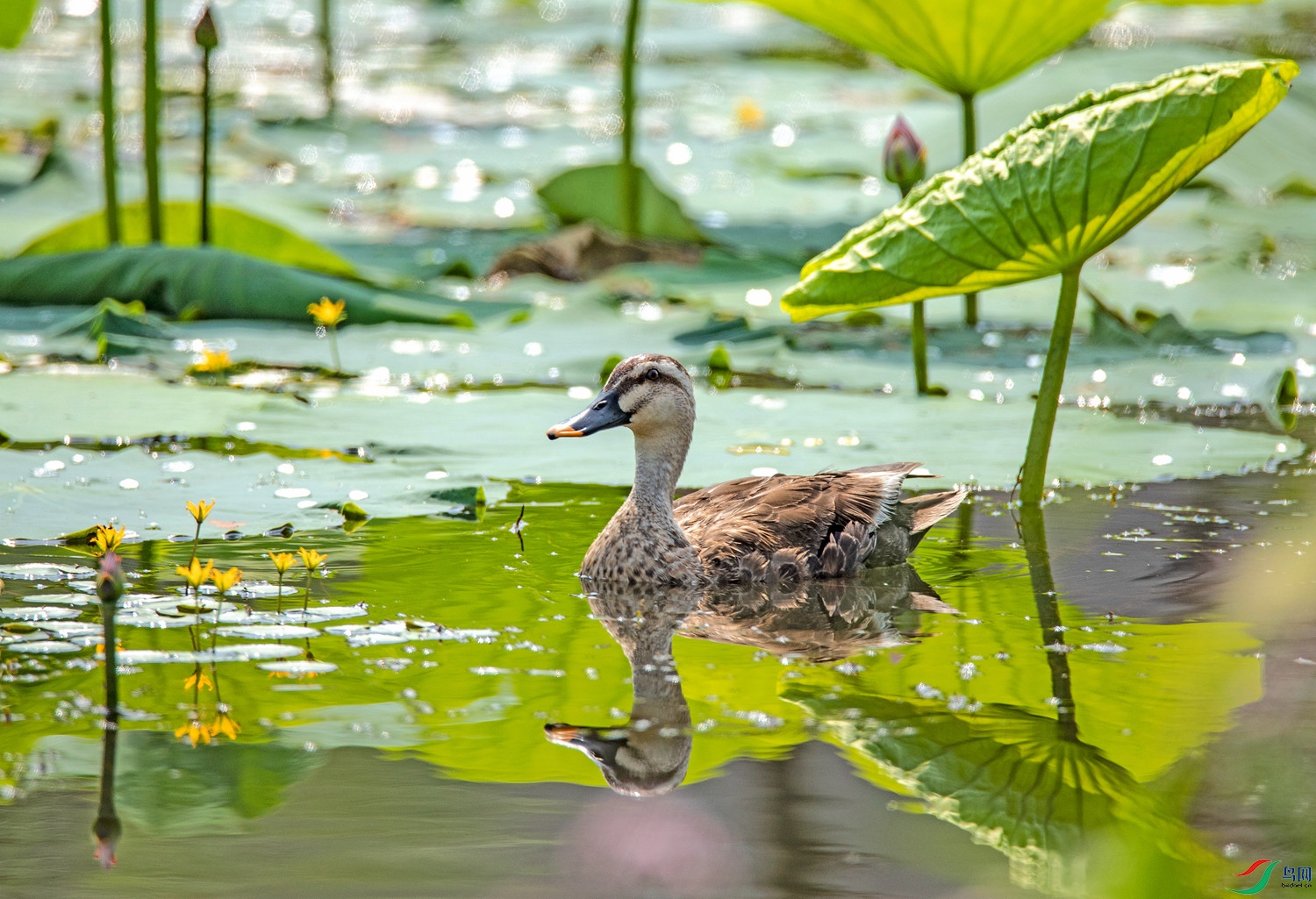 ��Ѽ�� (2)_����.jpg