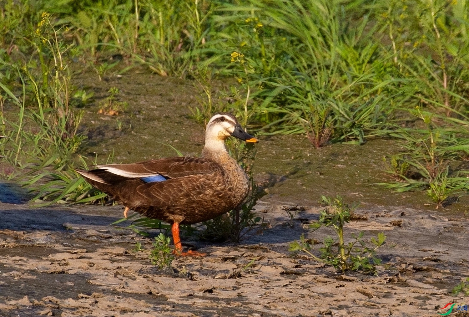 ��Ѽ�� (3)_����.jpg