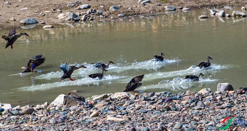 DSC_2205.jpg
