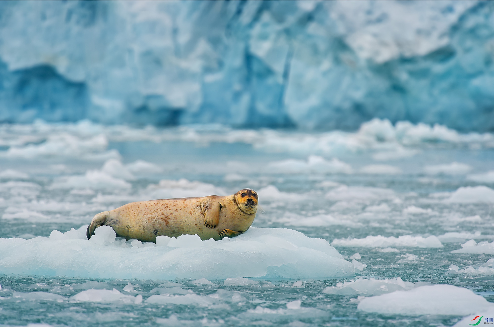 �׺���   ������������ϸ�.JPG