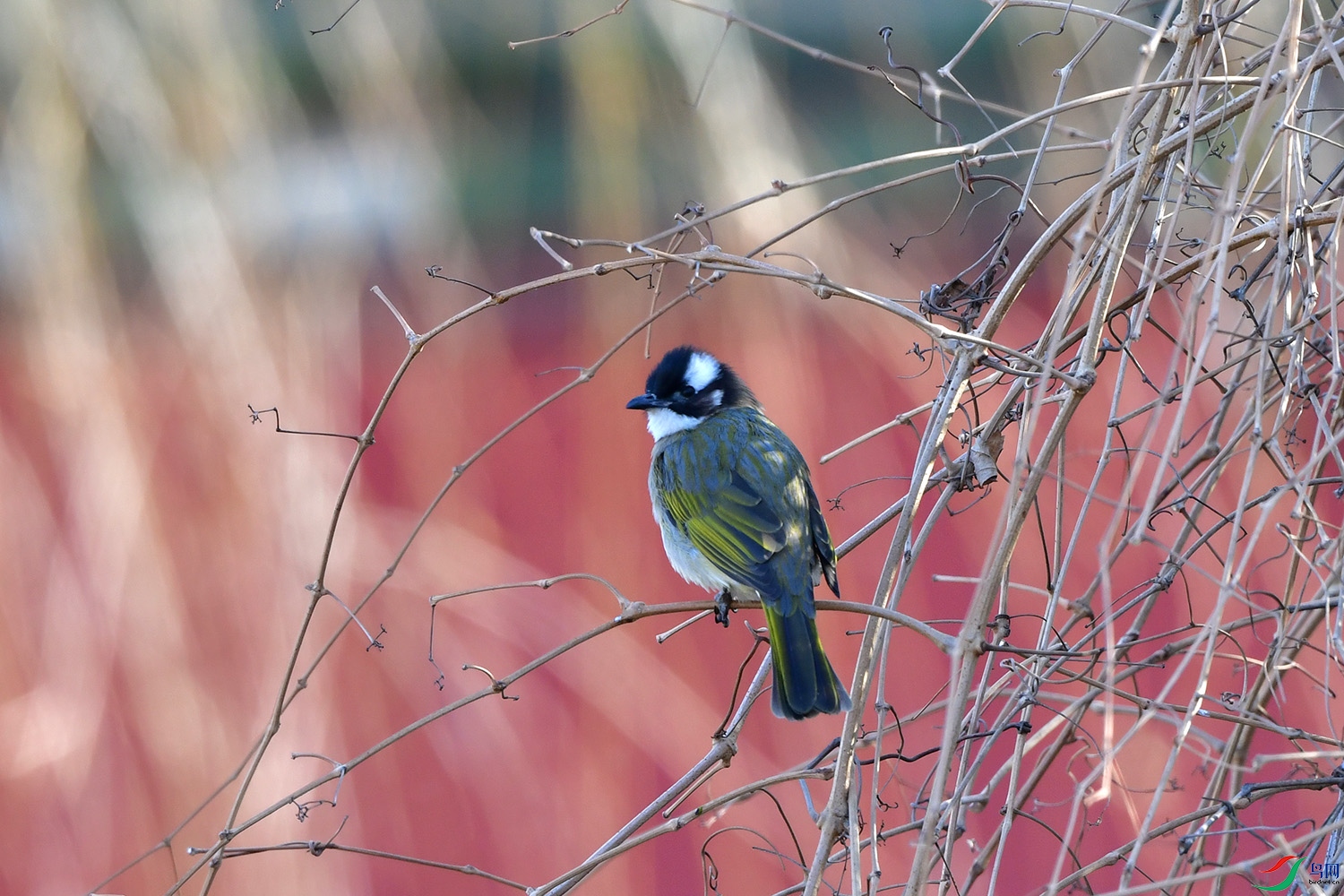 DSC_2853.jpg