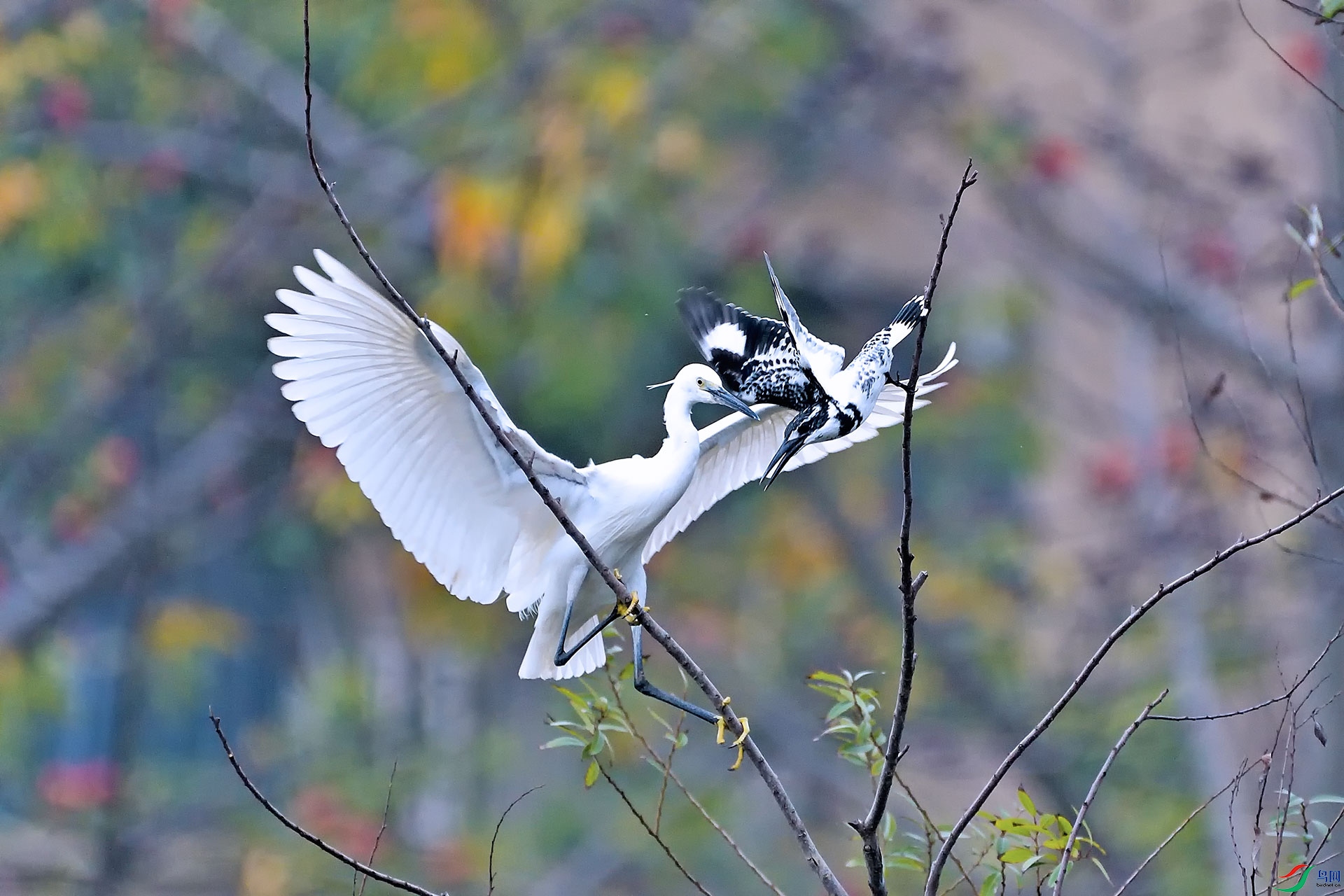 _DSC3740_00001a.jpg