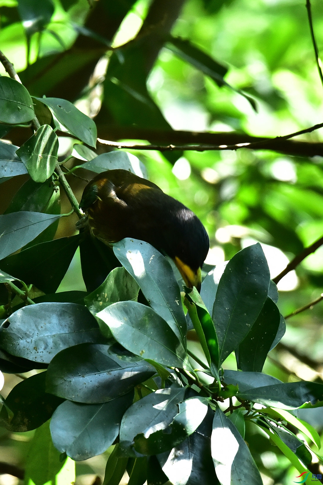 DSC_1026.JPG
