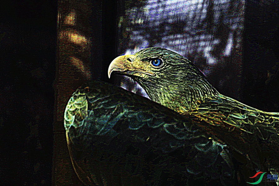 4K0A1556_����_����.jpg