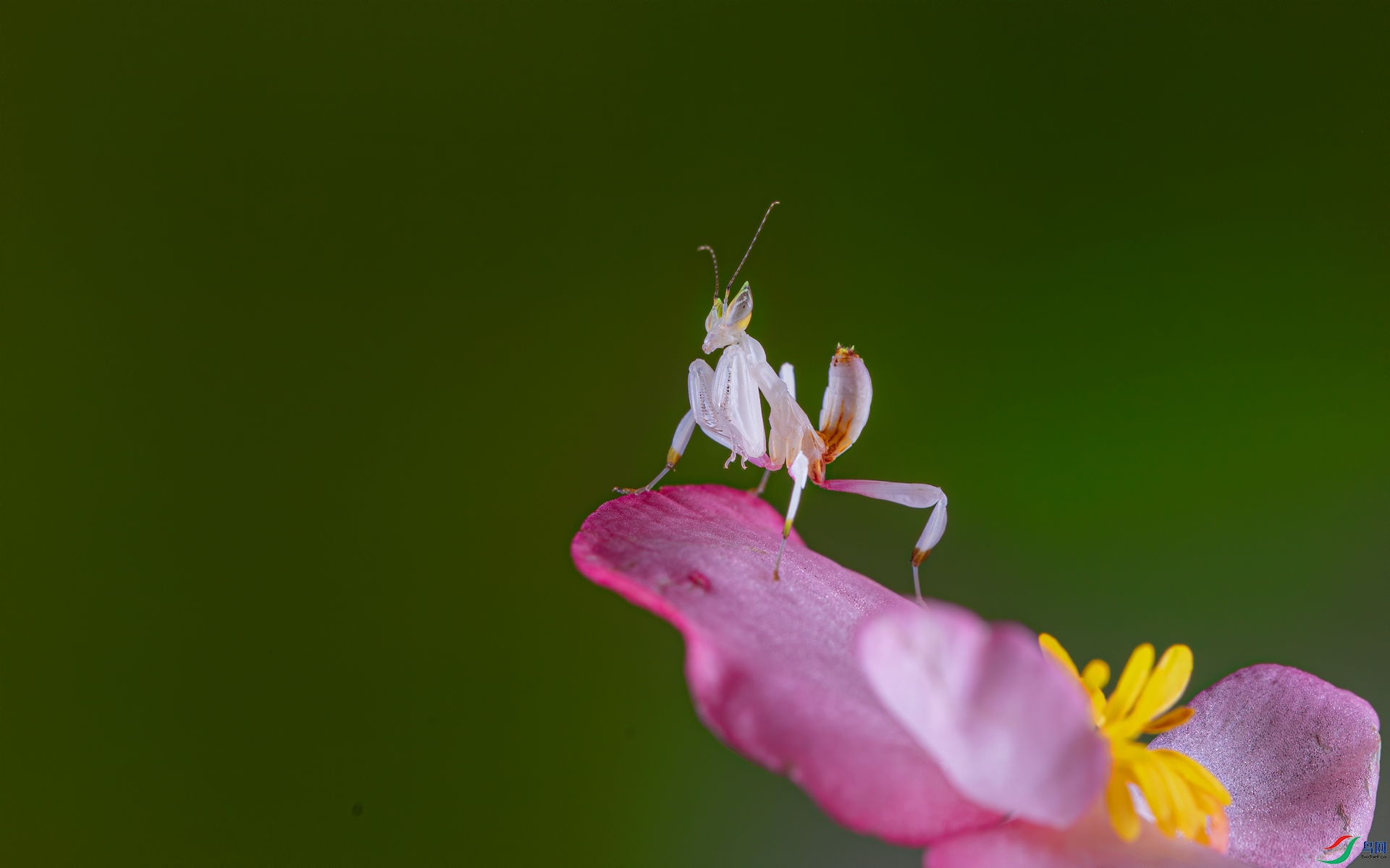 _S8A8639-1.jpg