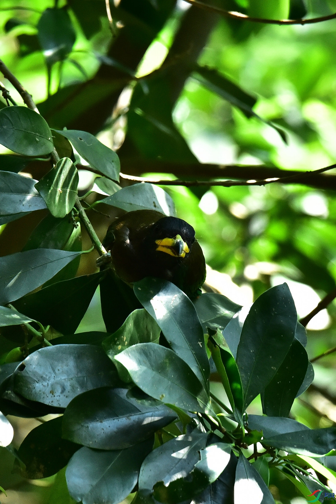 DSC_1027.JPG