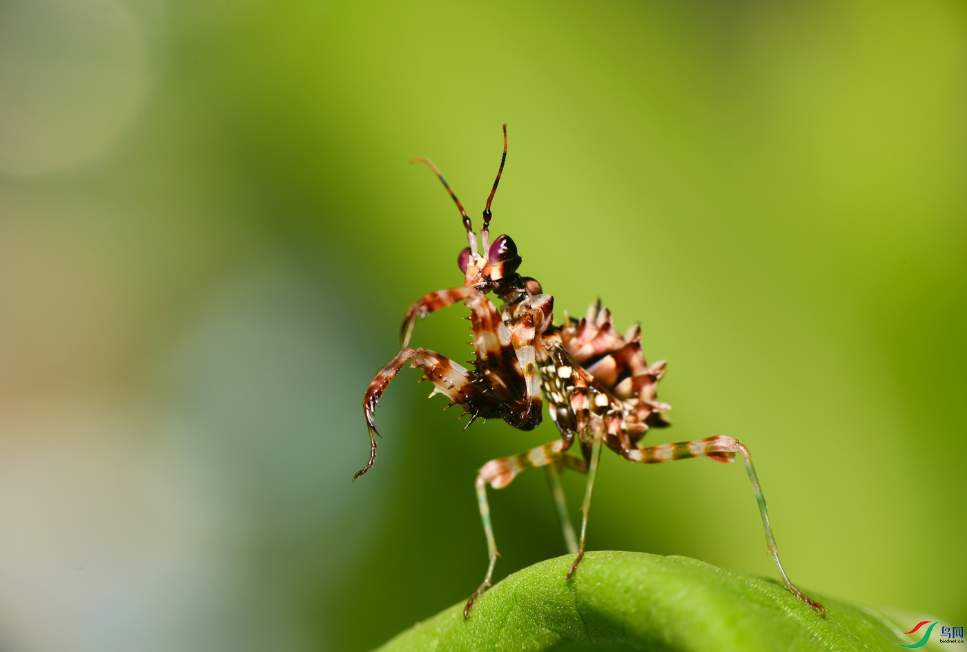 DSC_6330.JPG