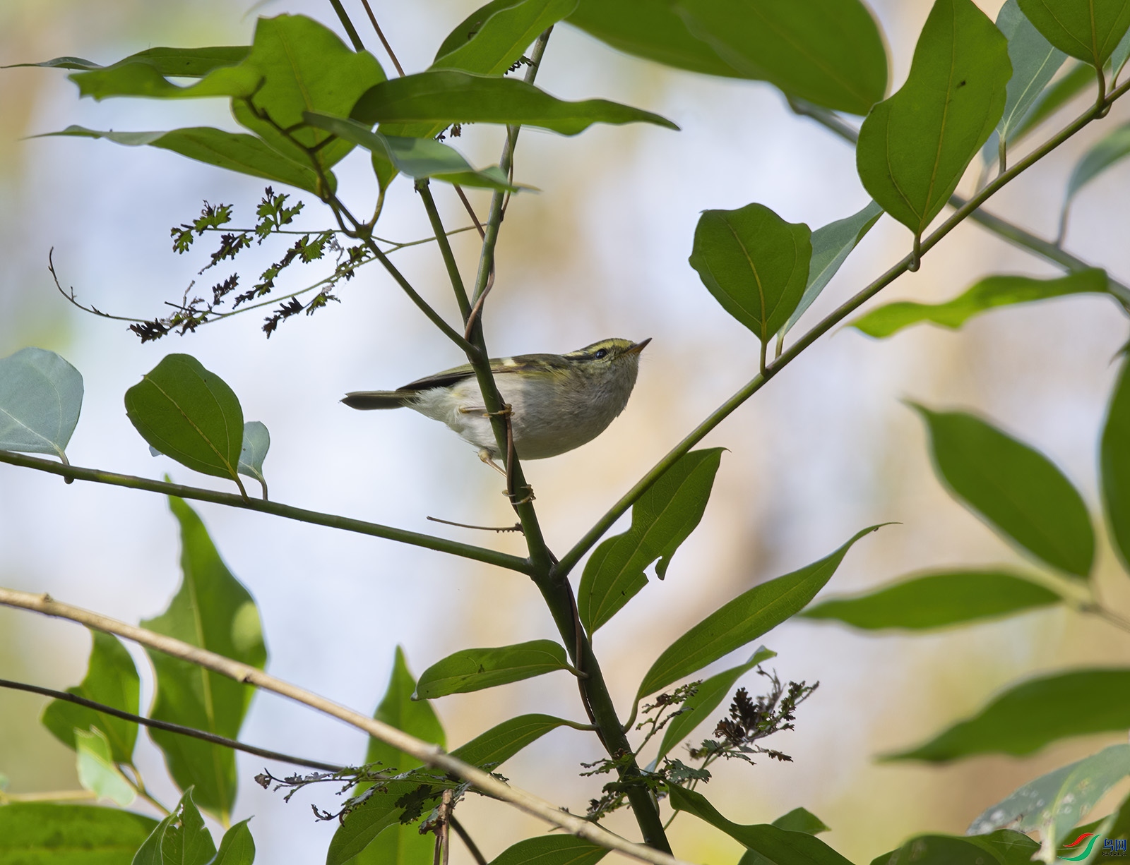 DSC_6214.jpg