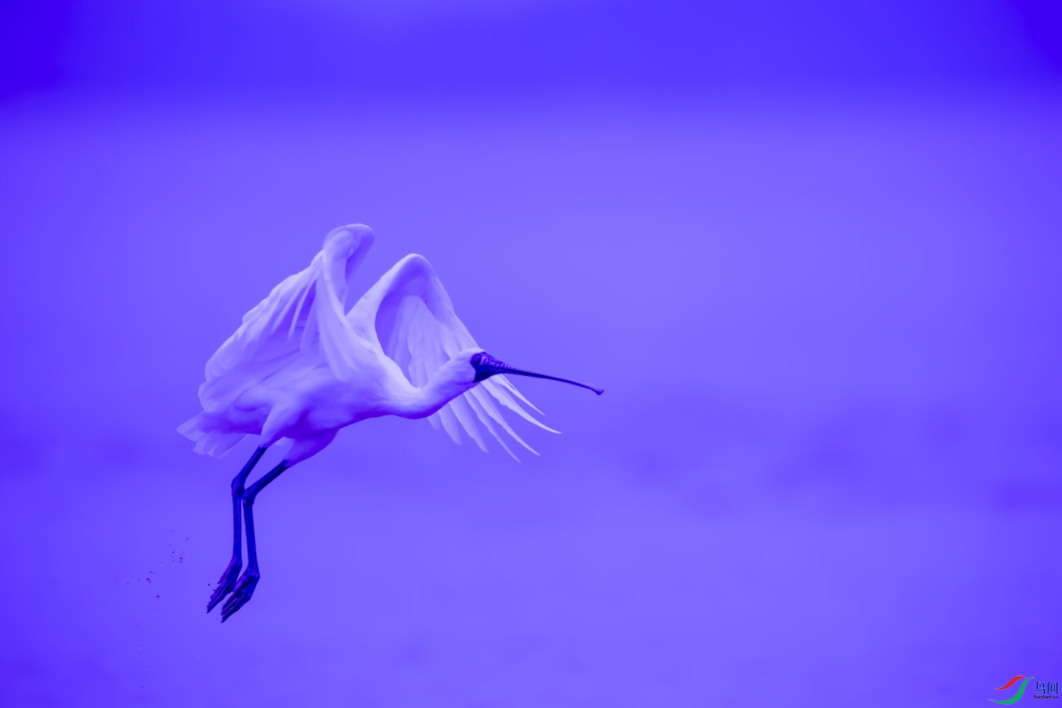 DSC_9773_1.jpg