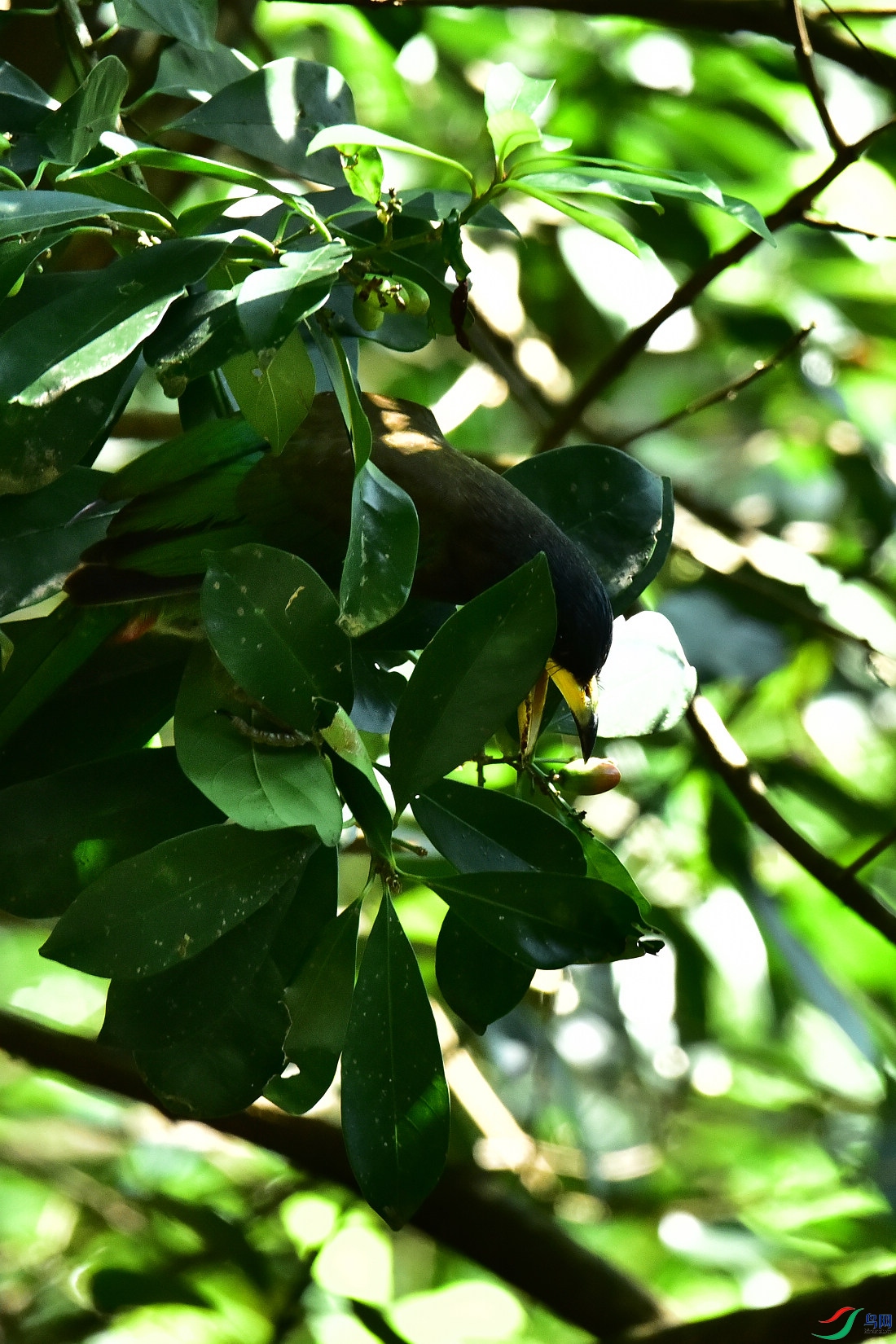 DSC_1032.JPG