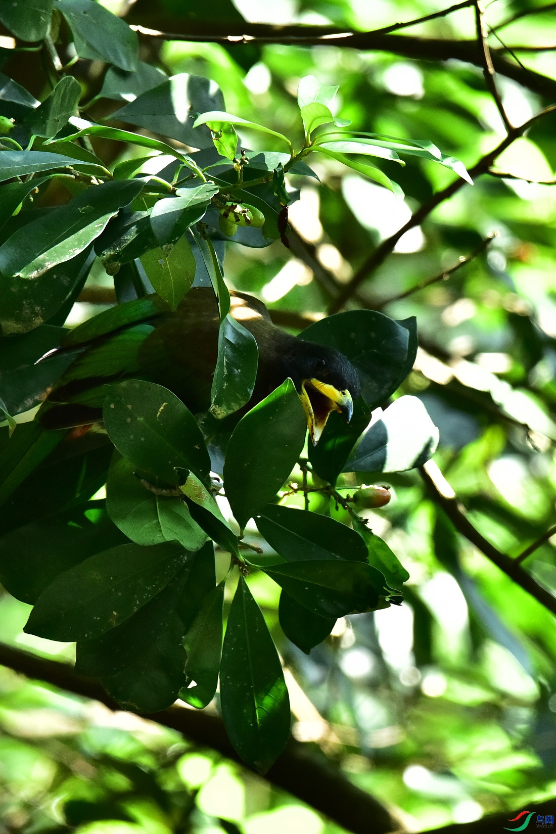 DSC_1033.JPG