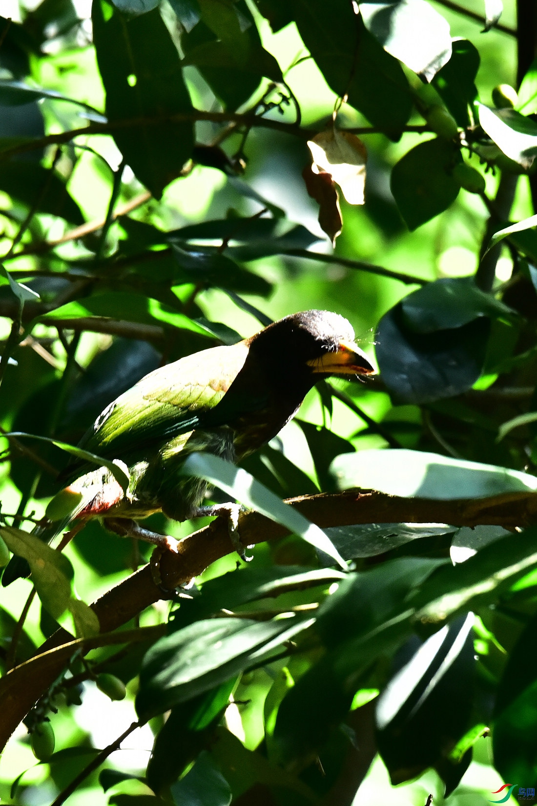 DSC_1034.JPG
