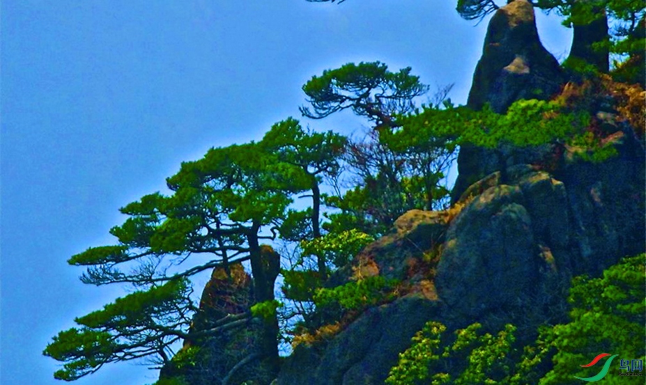 QQphoto (29)-01-p-4.jpg