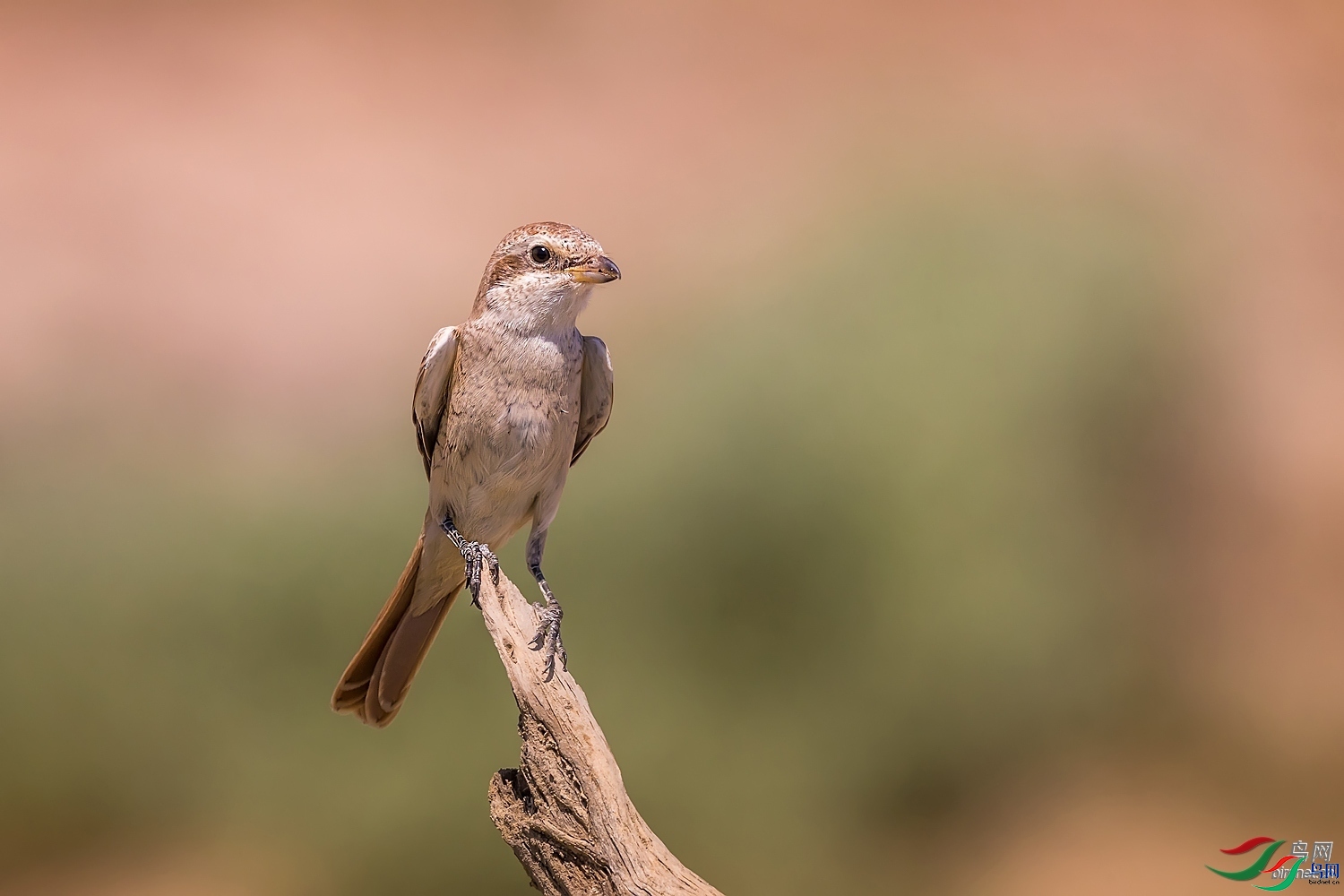 @-�ռ�  ��ʦ��������.��.ά.��.��.������.jpg