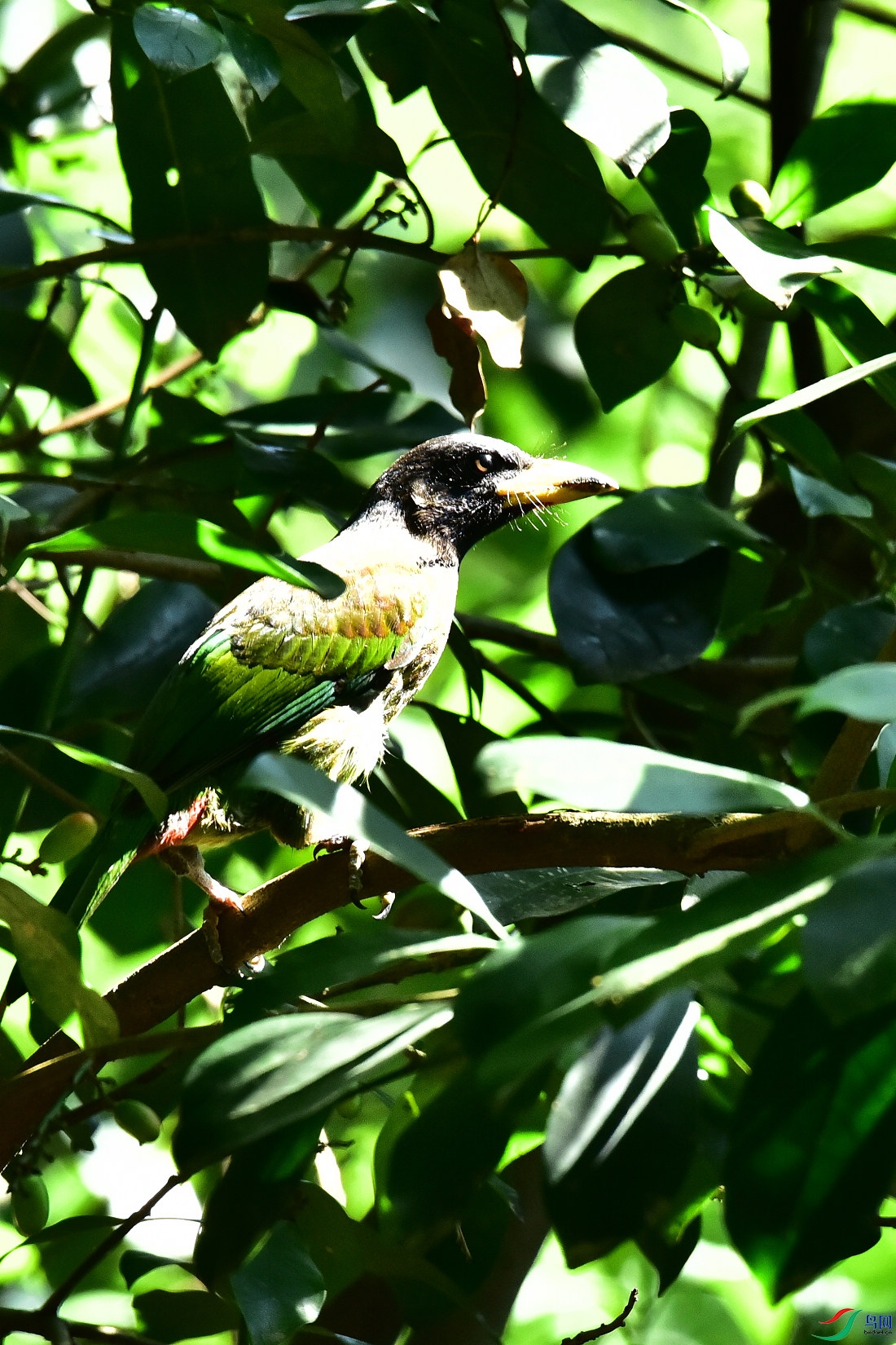 DSC_1035.JPG