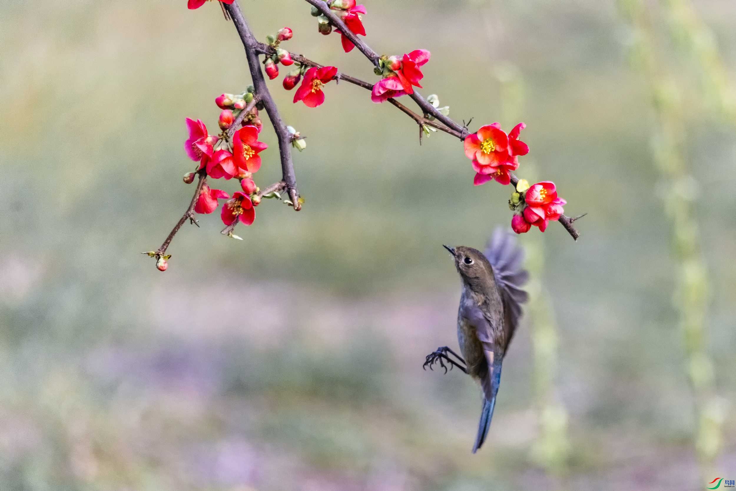 278A4277 ����.jpg