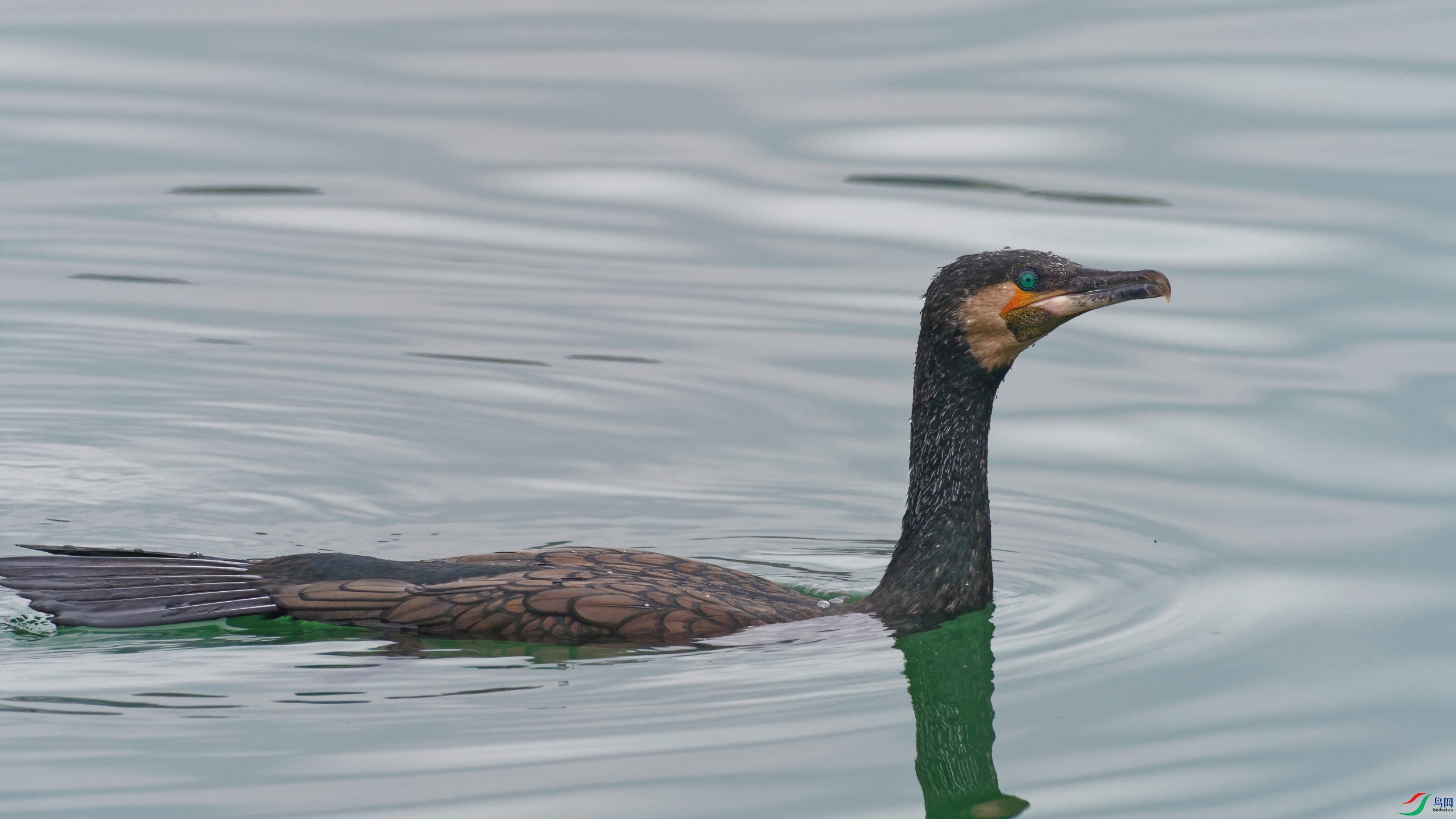 P3070137_DxO-d2.jpg