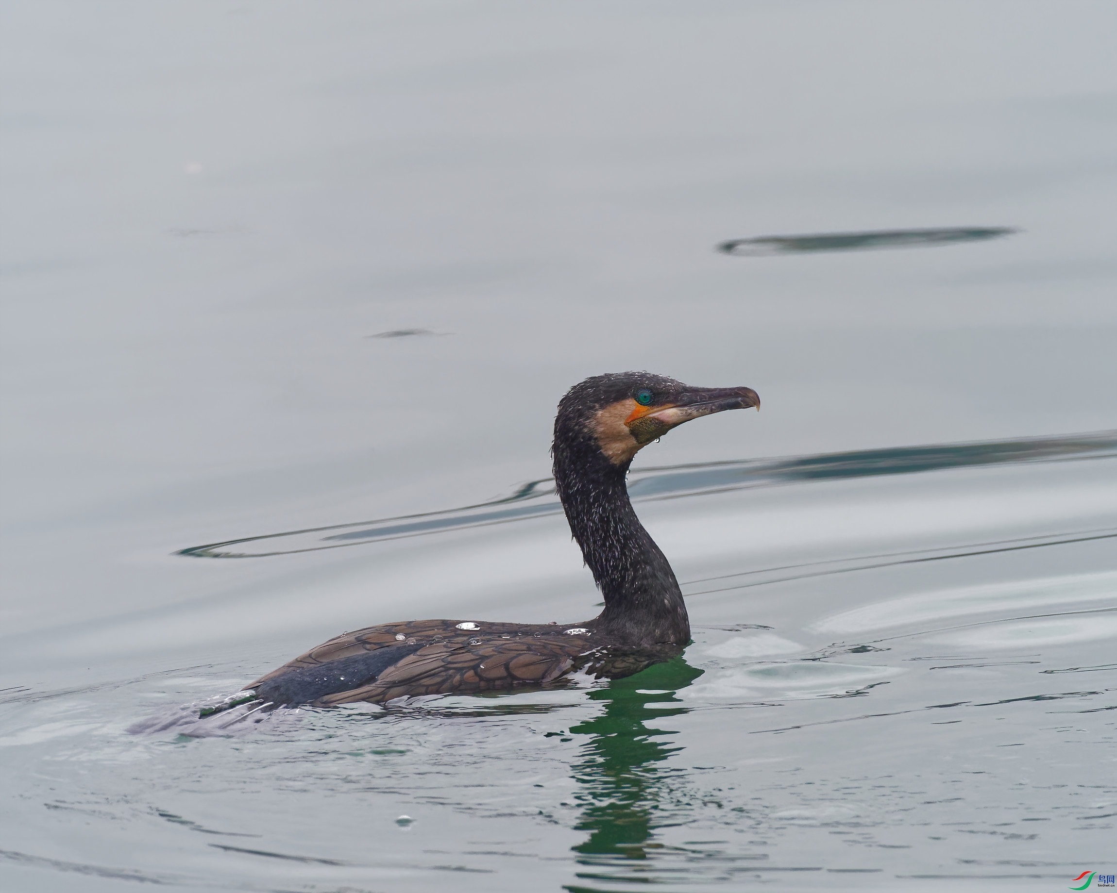 P3070139_DxO-d2.jpg