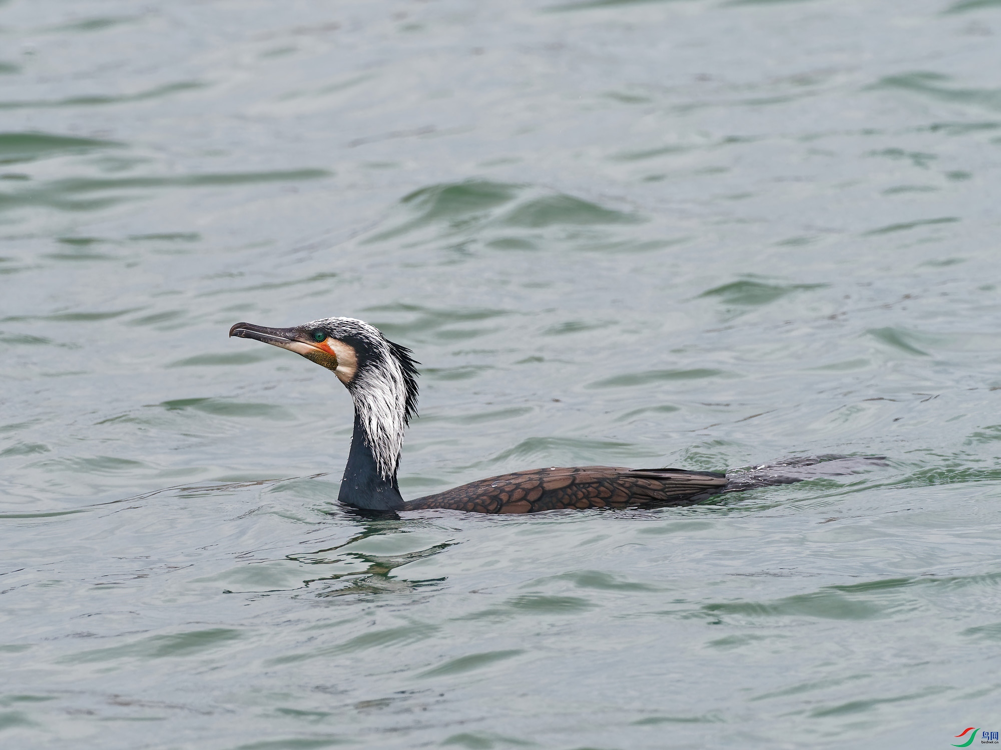 P3060294_DxO-d2.jpg