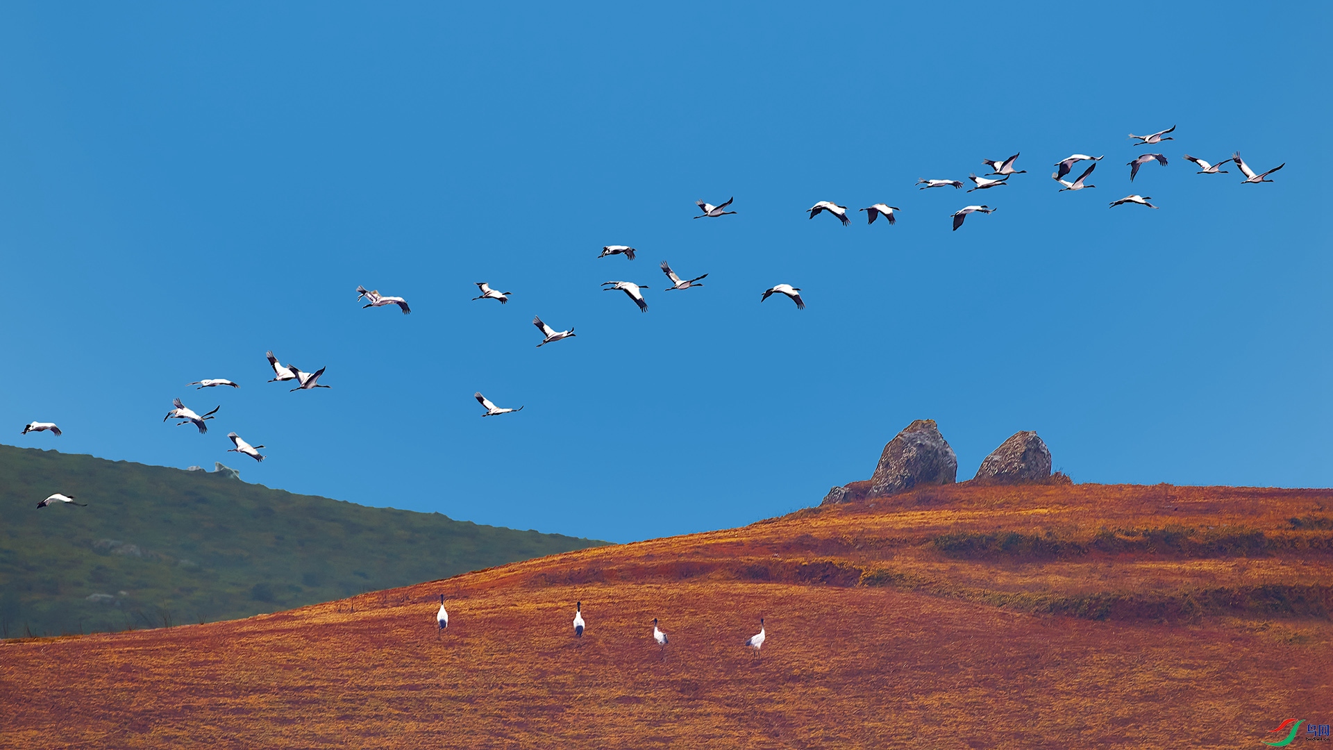 AV3I5013-1-ZW (2).jpg