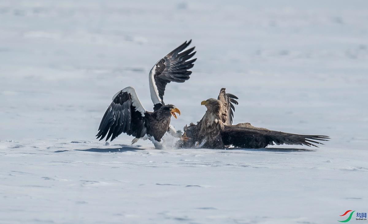 DSC_5300.jpg