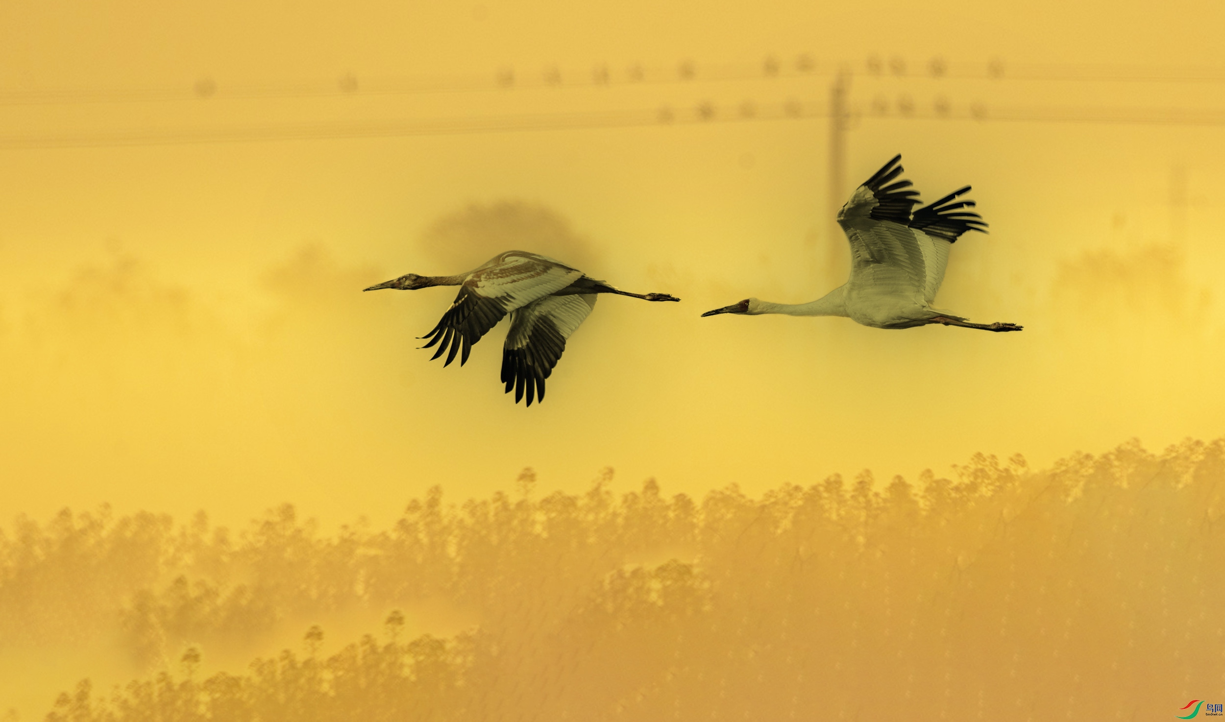 AS7I1361----11  .jpg