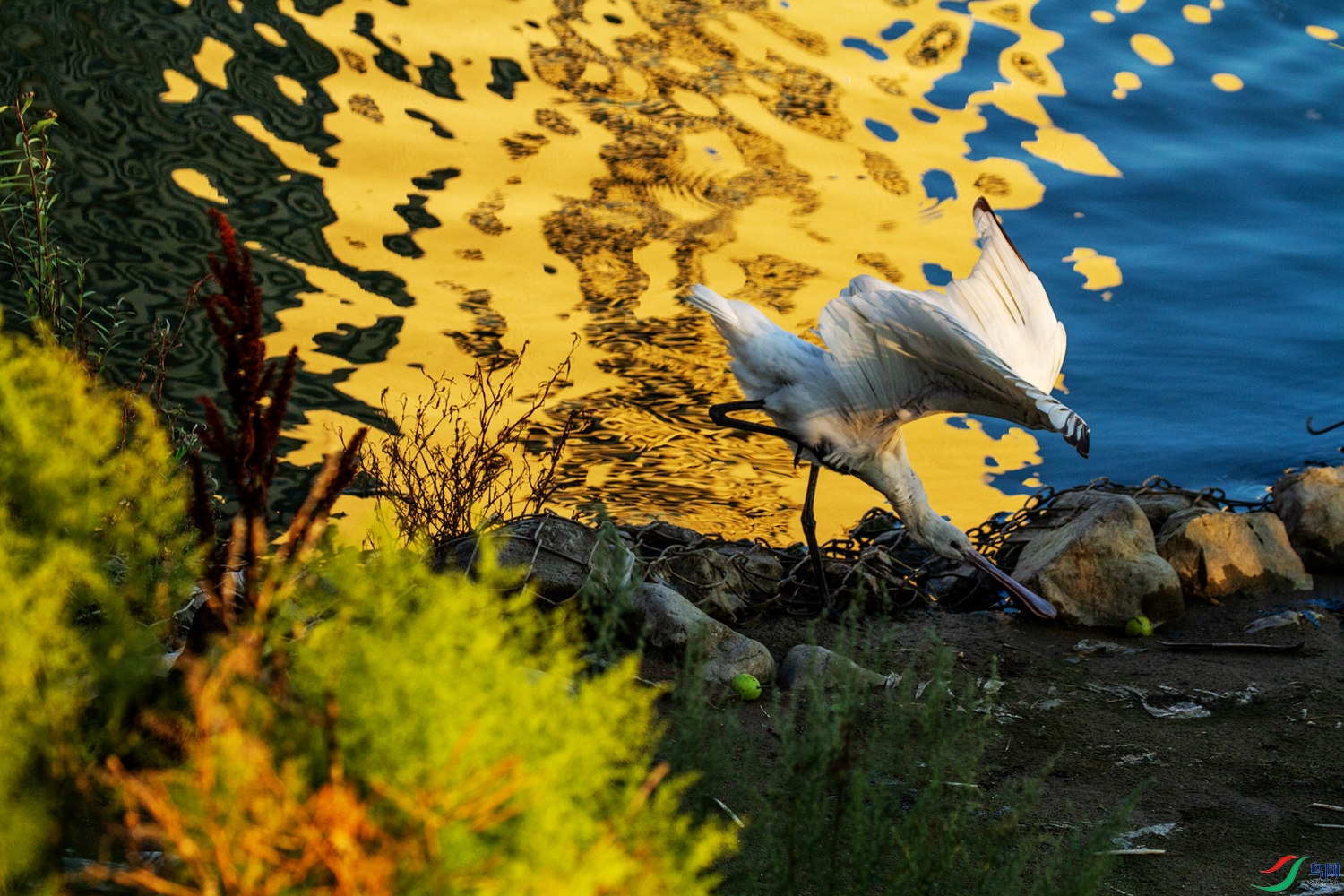 ���������� (2).jpg