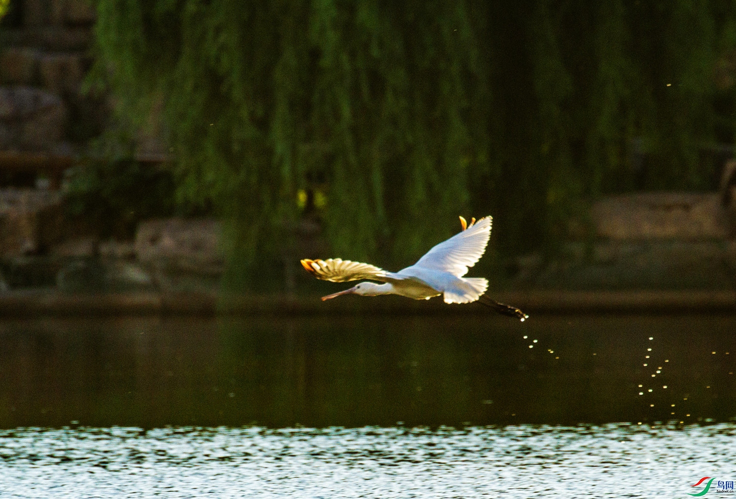 ���������� (4).jpg